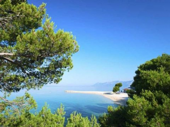 Mediterranean Mediterranean